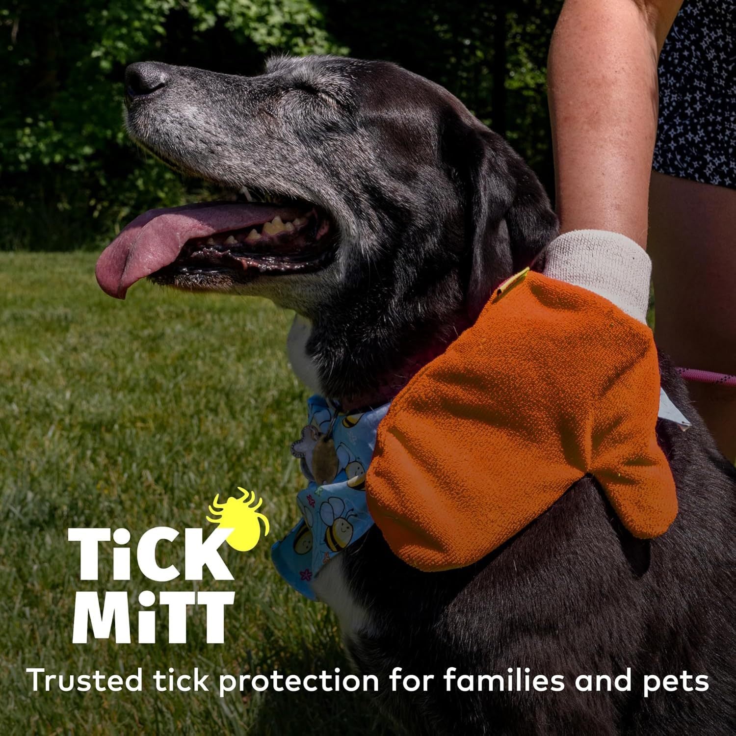 Pet Grooming Gloves - Safe Tick, Flea & Lice Removal Tool for Dogs & Cats
