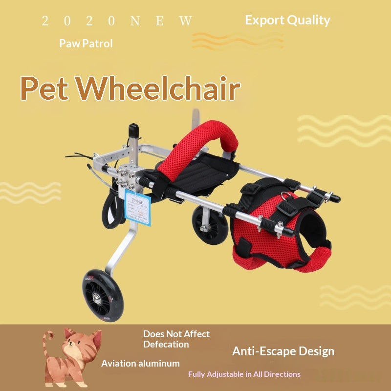 Kitten Mobility Wheelchair - Adjustable Rehabilitation Aid for Disabled Cats & Recovery Support