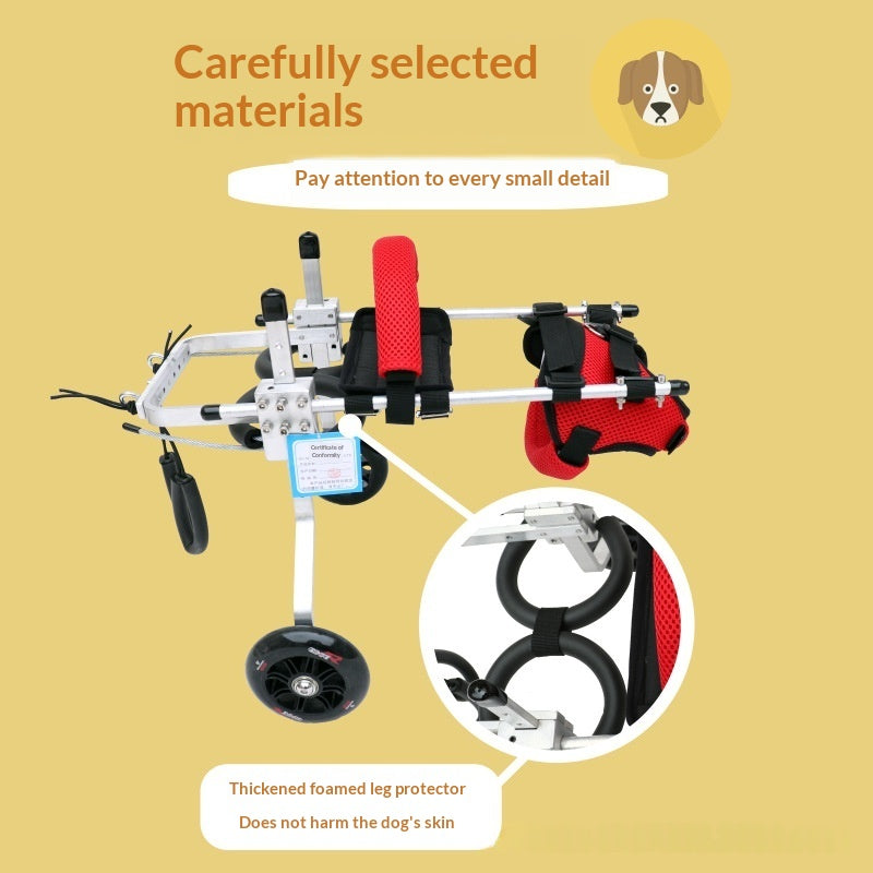 Kitten Mobility Wheelchair - Adjustable Rehabilitation Aid for Disabled Cats & Recovery Support