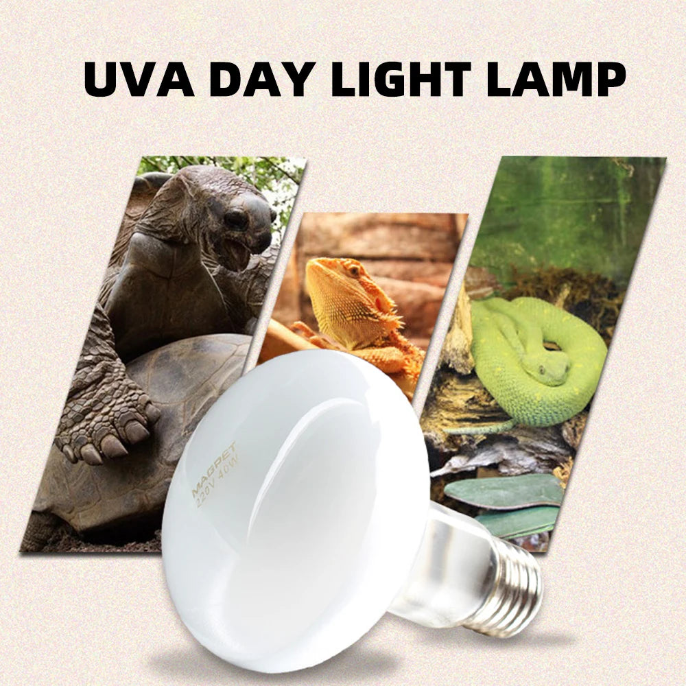 UVA+UVB Reptile Heat Lamp with Temperature Controller - 220V Daylight Bulb for Turtles, Lizards & Aquarium Pets