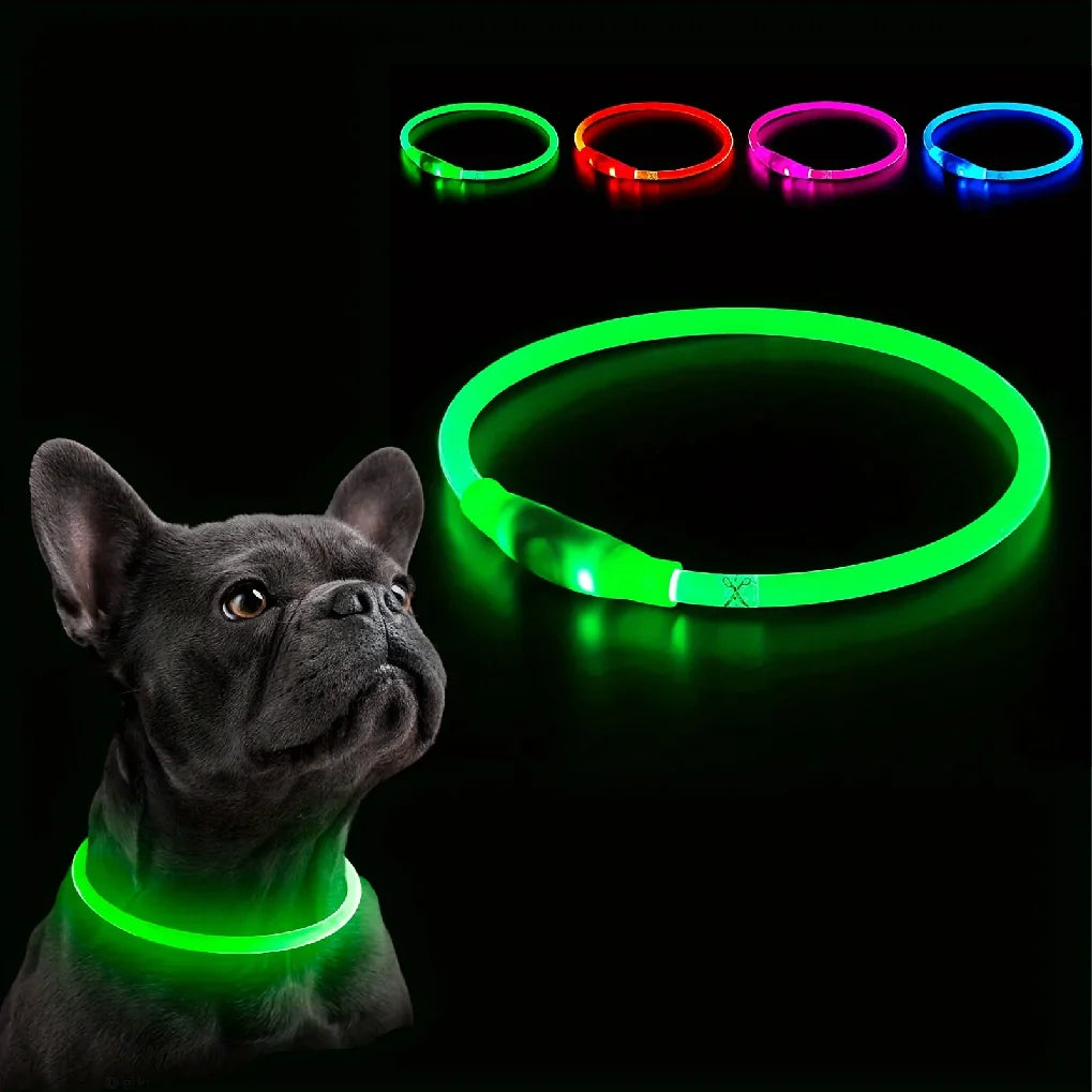 LED Dog Collar USB rechargeable nighttime visibility