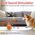 BounceWild Interactive Sensory Ball for dogs