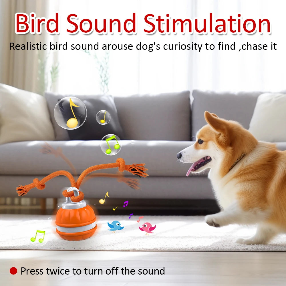 BounceWild Interactive Sensory Ball for dogs
