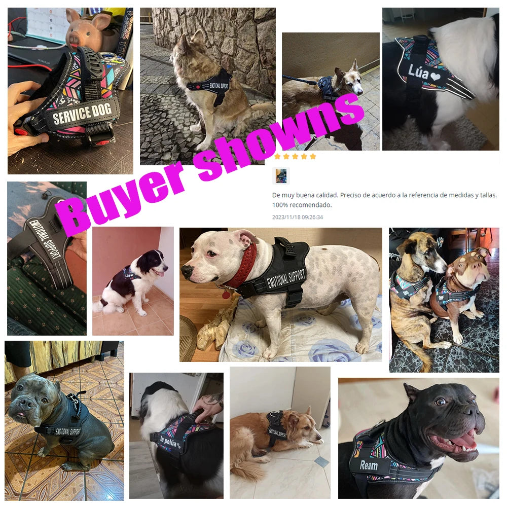 Customizable Dog Harness with Control Handle - Personalized Patches & Easy Adjustable Design for Small, Medium & Large Dogs