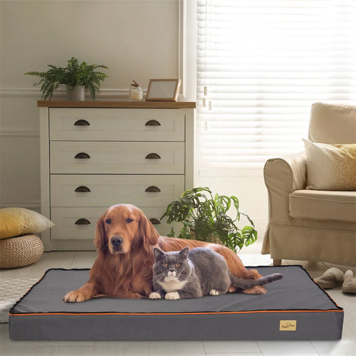 CloudNest Orthopaedic Pet Bed with memory foam and bolster