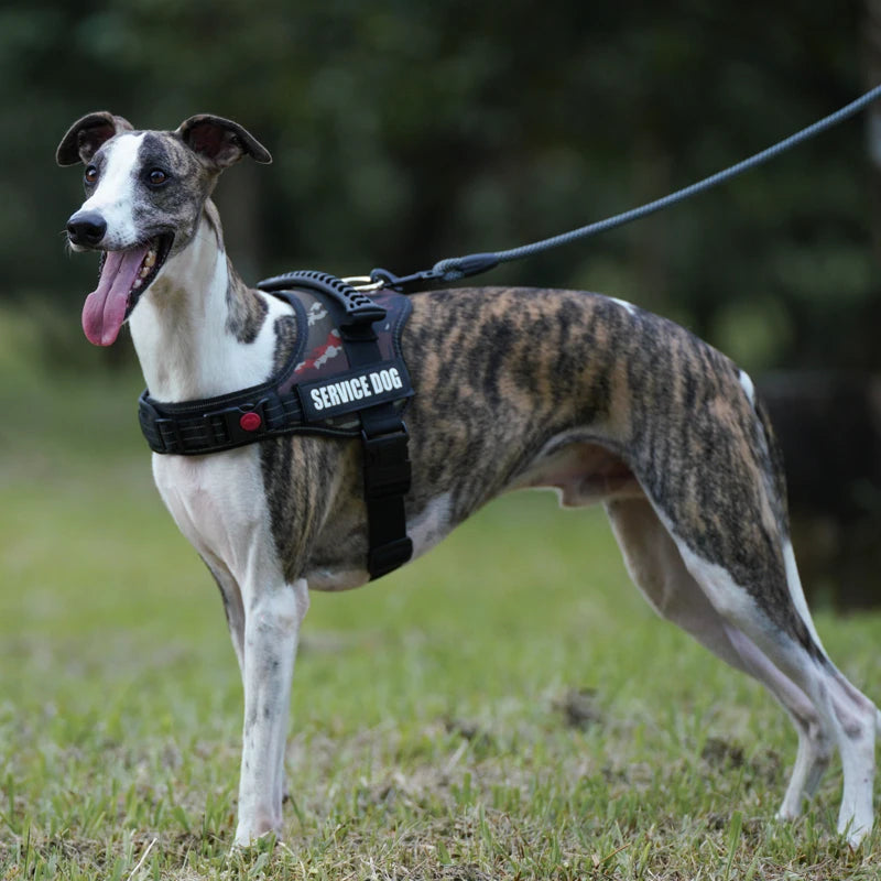Customizable Dog Harness with Control Handle - Personalized Patches & Easy Adjustable Design for Small, Medium & Large Dogs