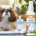 Long-Lasting Pet Deodorizer Spray - Antibacterial Fresh Scent for Dogs & Cats